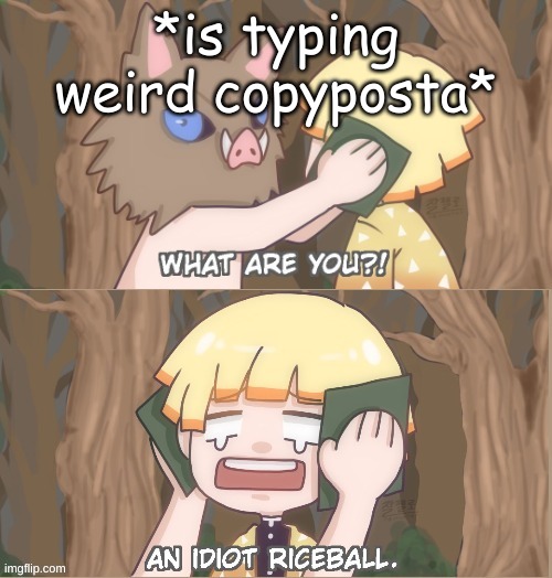 im almost done with it | *is typing weird copyposta* | image tagged in an idiot riceball | made w/ Imgflip meme maker