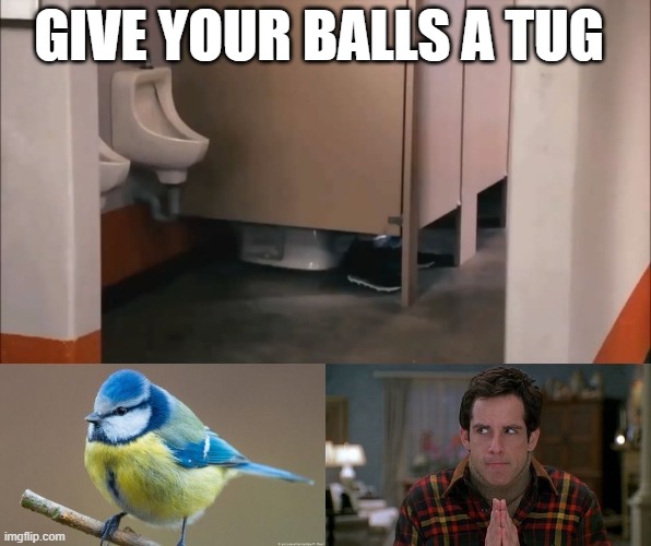 GIVE YOUR BALLS A TUG | image tagged in letterkenny,ben stiller,tits | made w/ Imgflip meme maker