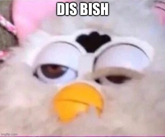This bish | DIS BISH | image tagged in this bish | made w/ Imgflip meme maker
