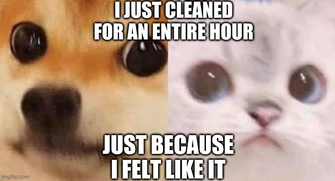 There's something wrong with me- | I JUST CLEANED FOR AN ENTIRE HOUR; JUST BECAUSE I FELT LIKE IT | image tagged in scared cat and scared dog | made w/ Imgflip meme maker