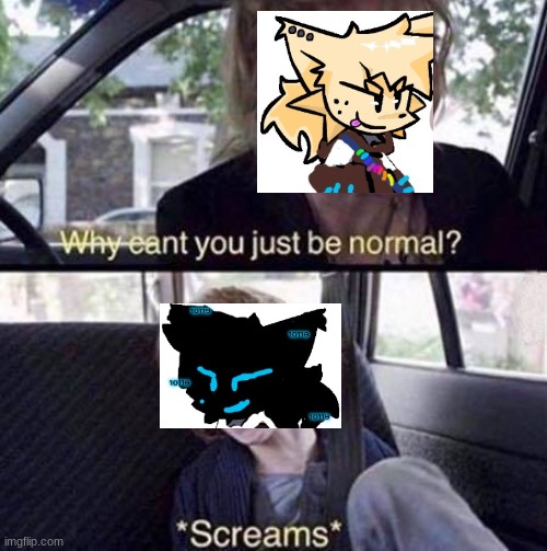 Why Can't You Just Be Normal | image tagged in why can't you just be normal | made w/ Imgflip meme maker