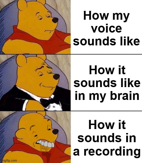 Indeed, it sounds terrible in a recording | How my voice sounds like; How it sounds like in my brain; How it sounds in a recording | image tagged in best better blurst | made w/ Imgflip meme maker