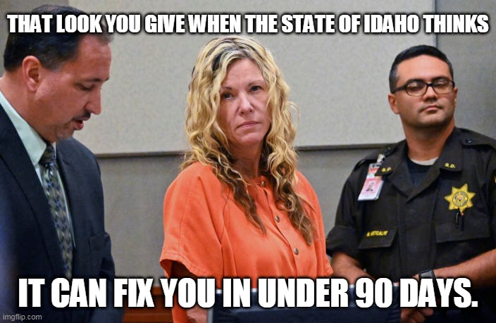 Lori Vallow Daybell crazy | THAT LOOK YOU GIVE WHEN THE STATE OF IDAHO THINKS; IT CAN FIX YOU IN UNDER 90 DAYS. | image tagged in lori vallow daybell,crazy,crime | made w/ Imgflip meme maker
