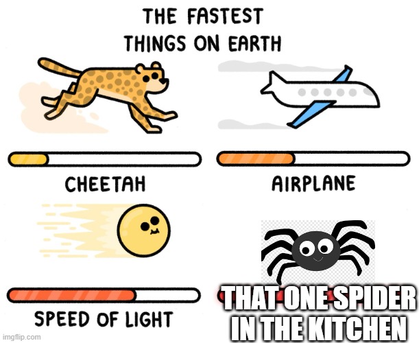 Fastest thing alive | THAT ONE SPIDER IN THE KITCHEN | image tagged in fastest thing on earth | made w/ Imgflip meme maker