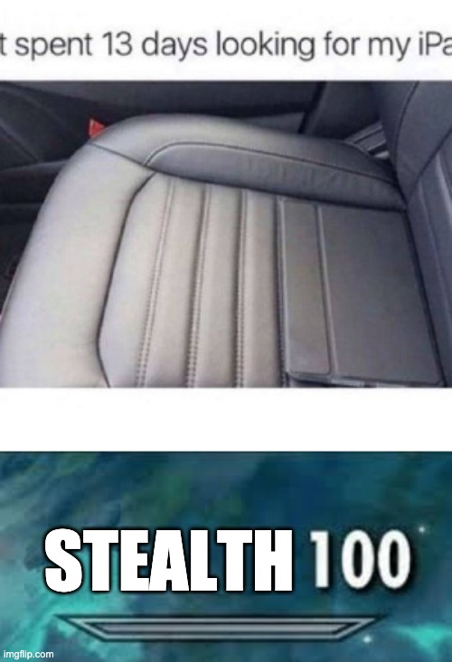 Stealth 100 | STEALTH | image tagged in stealth,lmao | made w/ Imgflip meme maker