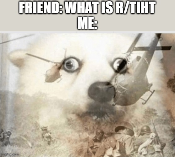 PTSD dog | FRIEND: WHAT IS R/TIHT
ME: | image tagged in ptsd dog,funny,memes,funny memes,meme,funny meme | made w/ Imgflip meme maker