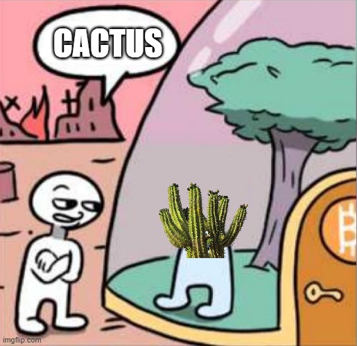 Cactus Amogus | CACTUS | image tagged in amogus,cactus,sus,among us | made w/ Imgflip meme maker