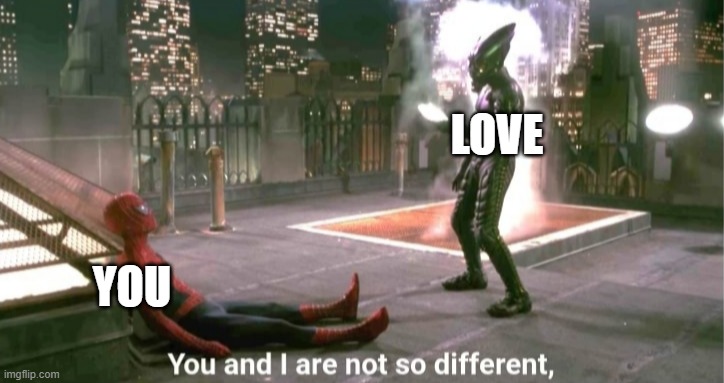 You and i are not so diffrent | LOVE YOU | image tagged in you and i are not so diffrent | made w/ Imgflip meme maker