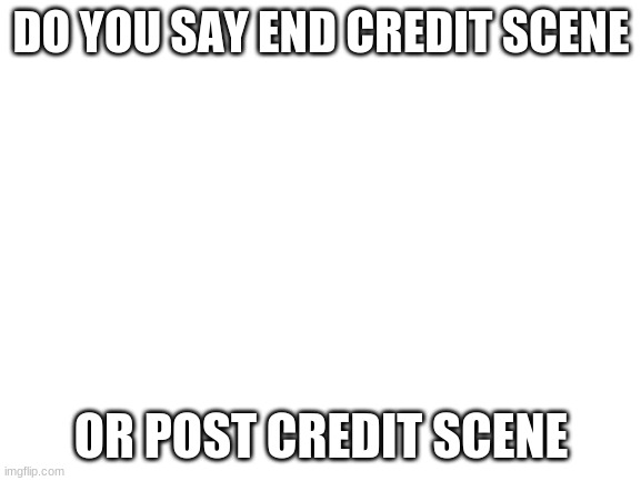 Blank White Template | DO YOU SAY END CREDIT SCENE; OR POST CREDIT SCENE | image tagged in blank white template | made w/ Imgflip meme maker