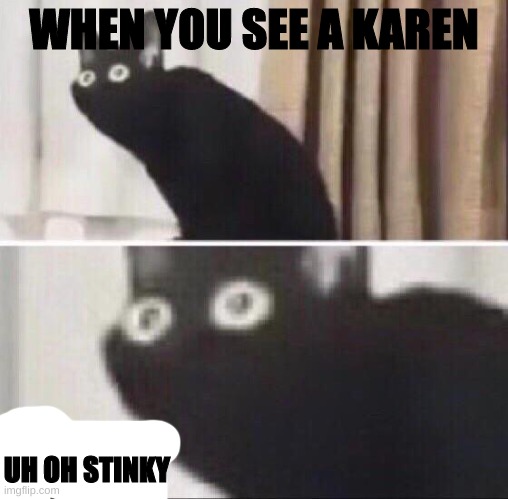 Oh no cat | WHEN YOU SEE A KAREN; UH OH STINKY | image tagged in oh no cat | made w/ Imgflip meme maker