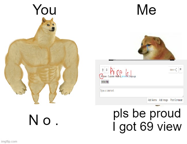 Buff Doge vs. Cheems Meme | You; Me; N o . pls be proud I got 69 view | image tagged in memes,buff doge vs cheems | made w/ Imgflip meme maker