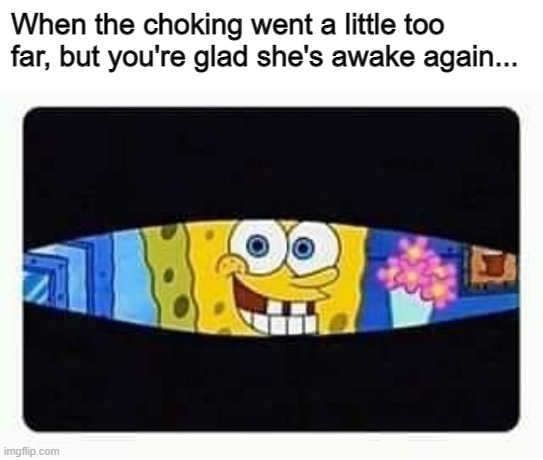 When the choking went a little too far, but you're glad she's awake again... | image tagged in funny,dark humor | made w/ Imgflip meme maker