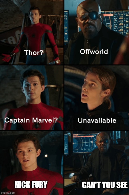 Thor off-world captain marvel unavailable | CAN'T YOU SEE; NICK FURY | image tagged in thor off-world captain marvel unavailable | made w/ Imgflip meme maker