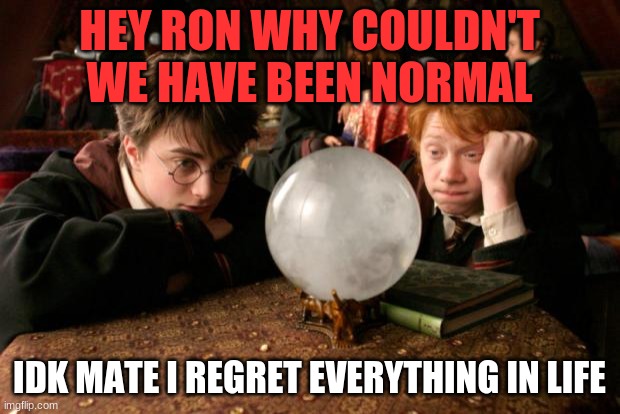fax- | HEY RON WHY COULDN'T WE HAVE BEEN NORMAL; IDK MATE I REGRET EVERYTHING IN LIFE | image tagged in harry potter meme | made w/ Imgflip meme maker