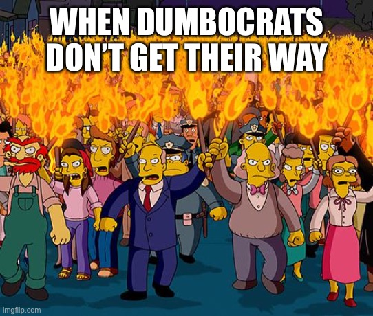 Think: Trumps presidency | WHEN DUMBOCRATS DON’T GET THEIR WAY | image tagged in angry mob,libtards,funny | made w/ Imgflip meme maker