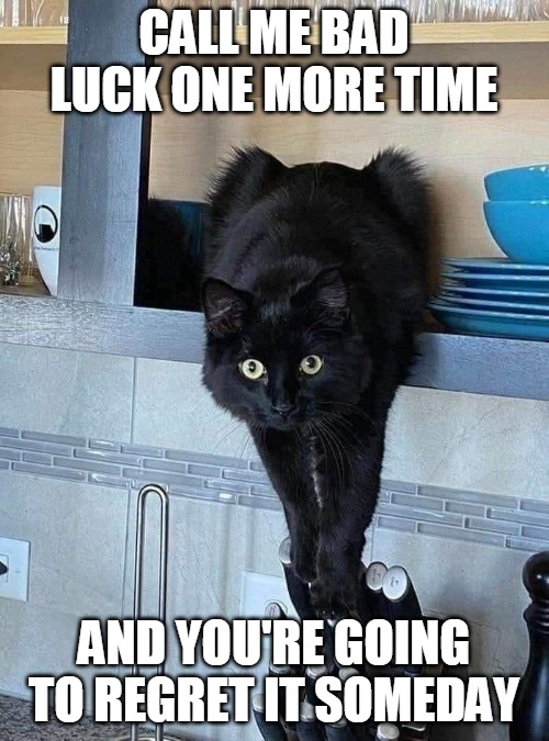 CALL ME BAD LUCK ONE MORE TIME; AND YOU'RE GOING TO REGRET IT SOMEDAY | image tagged in memes,cat,cats,black cat | made w/ Imgflip meme maker