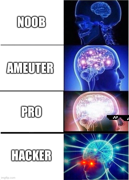 Expanding Brain | NOOB; AMEUTER; PRO; HACKER | image tagged in memes,expanding brain | made w/ Imgflip meme maker