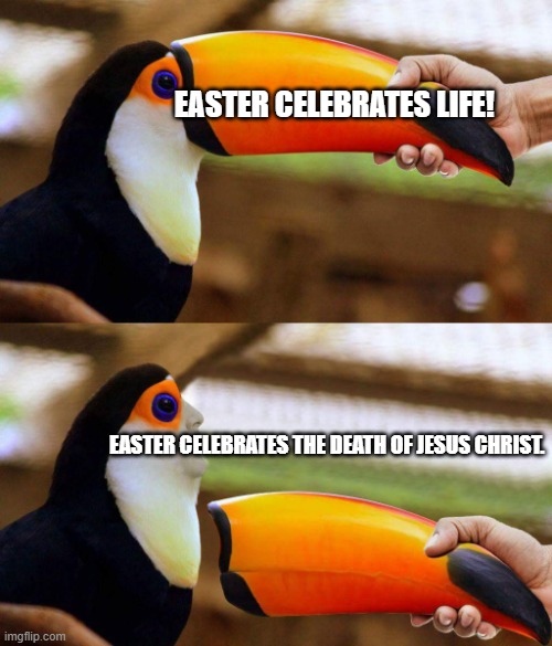 Send this to PETA. | EASTER CELEBRATES LIFE! EASTER CELEBRATES THE DEATH OF JESUS CHRIST. | image tagged in toucan beak,memes,funny,peta,easter,jesus | made w/ Imgflip meme maker