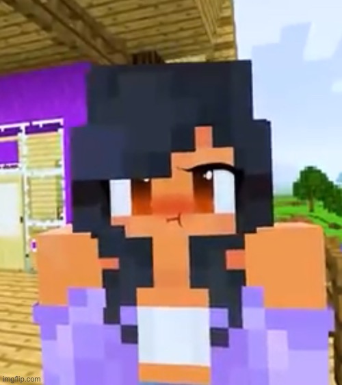 Aphmau angry ? | image tagged in aphmau angry | made w/ Imgflip meme maker