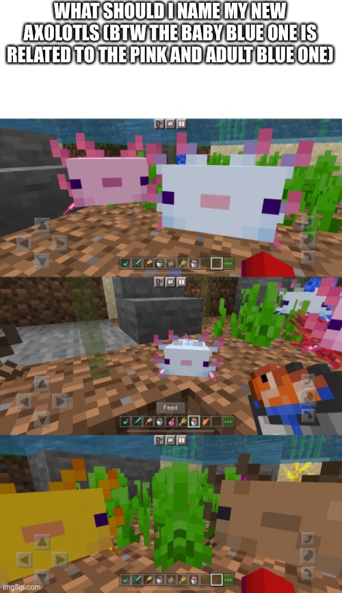 Minecraft Memes Gifs Imgflip