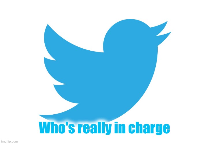 Twitter | Who's really in charge | image tagged in twitter | made w/ Imgflip meme maker