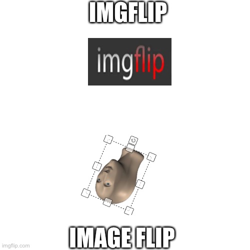 image flip |  IMGFLIP; IMAGE FLIP | image tagged in memes,blank transparent square,imgflip,flip,image | made w/ Imgflip meme maker