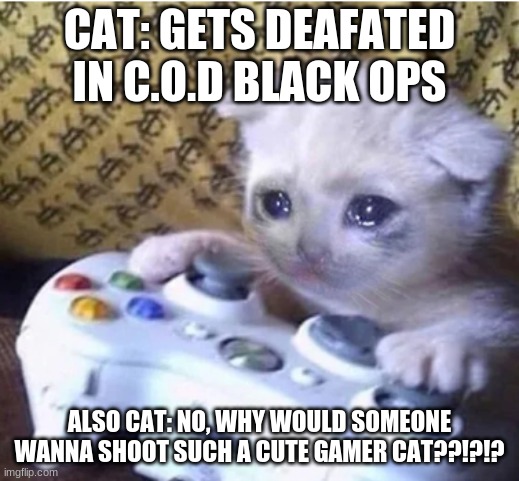 Sad. | CAT: GETS DEAFATED IN C.O.D BLACK OPS; ALSO CAT: NO, WHY WOULD SOMEONE WANNA SHOOT SUCH A CUTE GAMER CAT??!?!? | image tagged in sad gaming cat,sad,cute cats | made w/ Imgflip meme maker