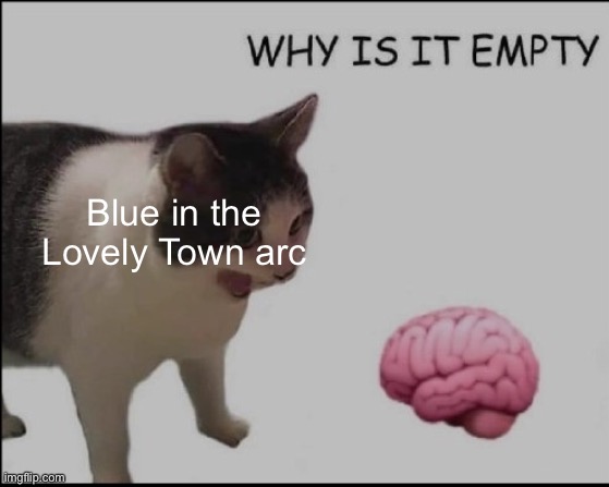 why is it empty? | Blue in the Lovely Town arc | image tagged in why is it empty | made w/ Imgflip meme maker