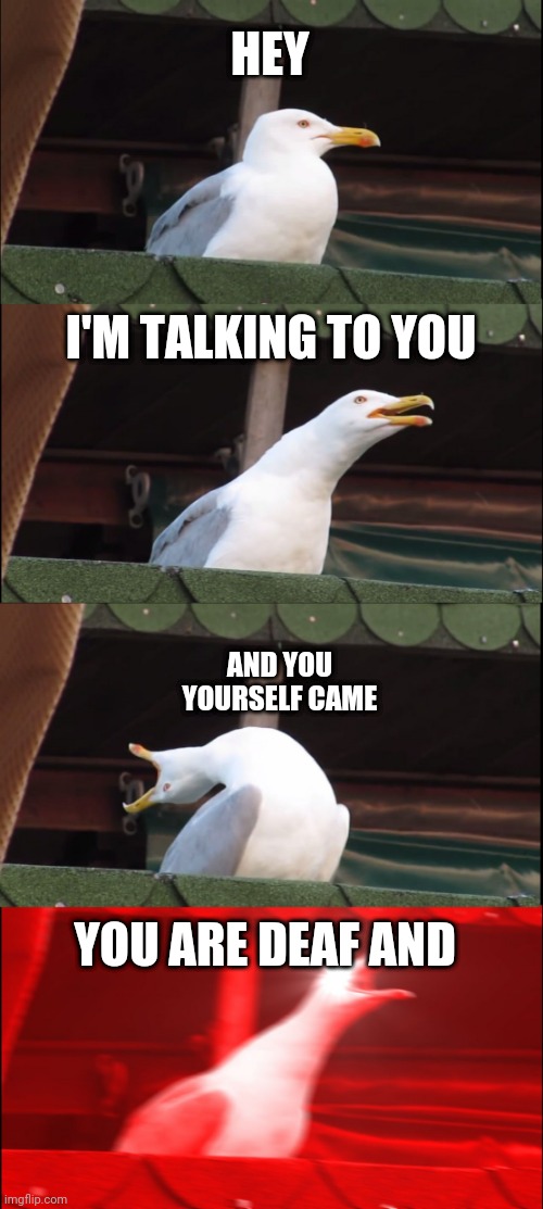 the deaf | HEY; I'M TALKING TO YOU; AND YOU YOURSELF CAME; YOU ARE DEAF AND | image tagged in memes,inhaling seagull | made w/ Imgflip meme maker