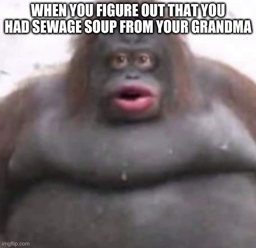meme | WHEN YOU FIGURE OUT THAT YOU HAD SEWAGE SOUP FROM YOUR GRANDMA | image tagged in le monke | made w/ Imgflip meme maker
