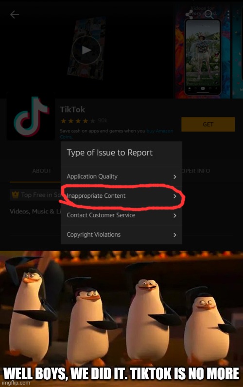 Well boys we did it | WELL BOYS, WE DID IT. TIKTOK IS NO MORE | image tagged in penguins of madagascar | made w/ Imgflip meme maker