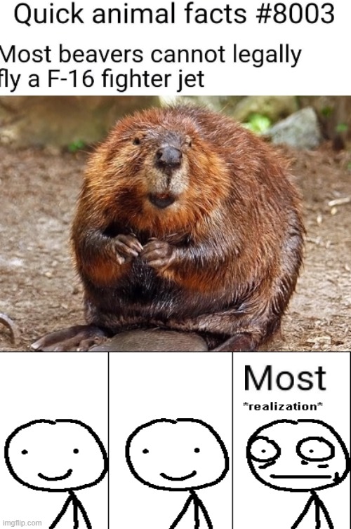 "MOST"??!?!? | image tagged in realization,sudden realization | made w/ Imgflip meme maker