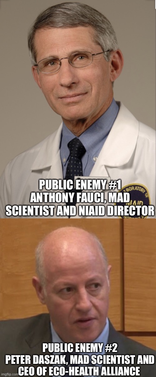 Wanted for crimes against humanity: funding, creating and perpetuating a pandemic. | PUBLIC ENEMY #1
ANTHONY FAUCI, MAD SCIENTIST AND NIAID DIRECTOR; PUBLIC ENEMY #2
PETER DASZAK, MAD SCIENTIST AND CEO OF ECO-HEALTH ALLIANCE | image tagged in dr fauci,peter daszak,gain of function,criminal,covid | made w/ Imgflip meme maker