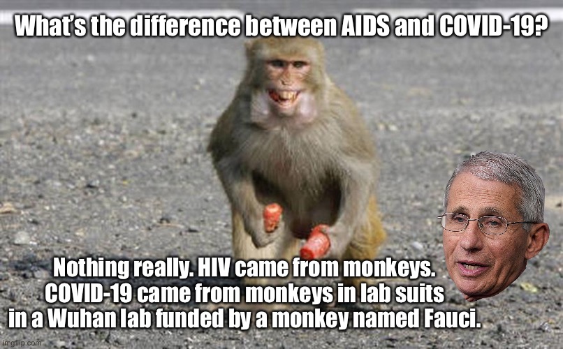 Fauci monkeying around with viruses | What’s the difference between AIDS and COVID-19? Nothing really. HIV came from monkeys. COVID-19 came from monkeys in lab suits in a Wuhan lab funded by a monkey named Fauci. | image tagged in monkey aids,memes,fauci,aids,covid,china | made w/ Imgflip meme maker