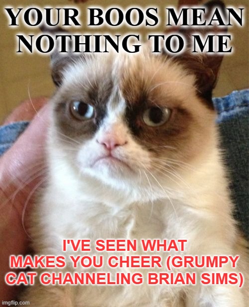 Grumpy Cat Meme | YOUR BOOS MEAN NOTHING TO ME; I'VE SEEN WHAT MAKES YOU CHEER (GRUMPY CAT CHANNELING BRIAN SIMS) | image tagged in memes,grumpy cat | made w/ Imgflip meme maker