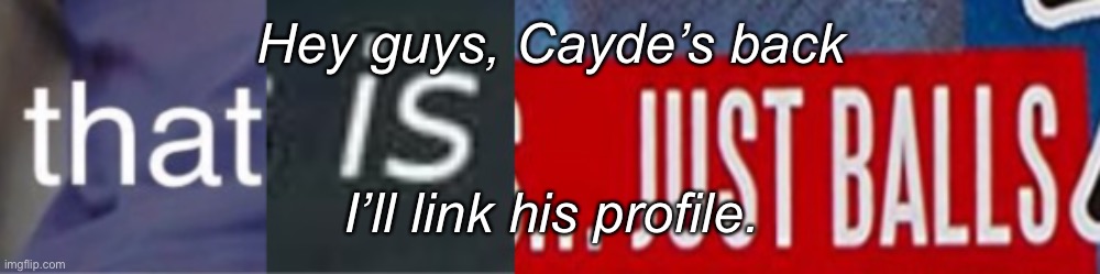 That is just balls | Hey guys, Cayde’s back; I’ll link his profile. | image tagged in that is just balls | made w/ Imgflip meme maker
