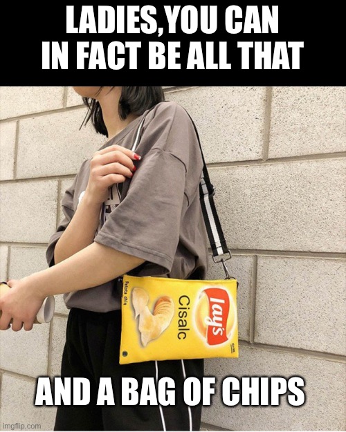 All that, and a bag of chips | LADIES,YOU CAN IN FACT BE ALL THAT; AND A BAG OF CHIPS | image tagged in funny,90's | made w/ Imgflip meme maker