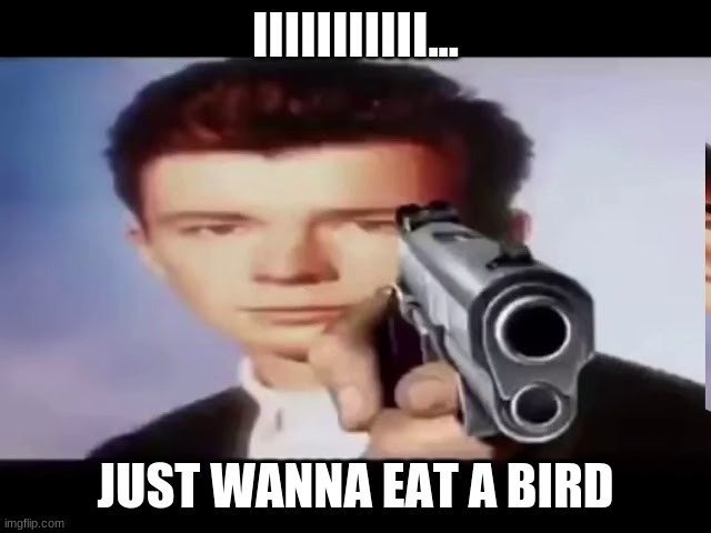 Rick With Gun | IIIIIIIIIII... JUST WANNA EAT A BIRD | image tagged in rick with gun | made w/ Imgflip meme maker