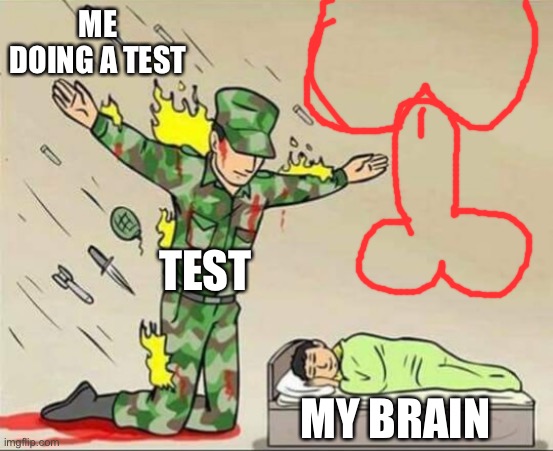 Soldier protecting sleeping child | ME DOING A TEST; TEST; MY BRAIN | image tagged in soldier protecting sleeping child | made w/ Imgflip meme maker