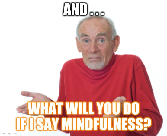 AND . . . WHAT WILL YOU DO IF I SAY MINDFULNESS? | image tagged in guess i'll die | made w/ Imgflip meme maker