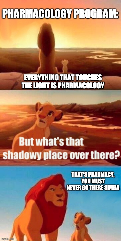 Pharmacology vs pharmacy | PHARMACOLOGY PROGRAM:; EVERYTHING THAT TOUCHES THE LIGHT IS PHARMACOLOGY; THAT'S PHARMACY, YOU MUST NEVER GO THERE SIMBA | image tagged in memes,simba shadowy place | made w/ Imgflip meme maker