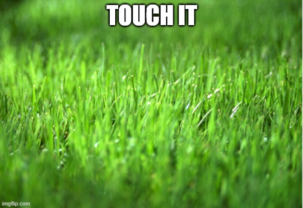 grass is greener | TOUCH IT | image tagged in grass is greener | made w/ Imgflip meme maker