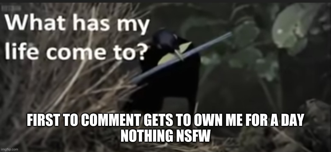 What has my life come to? | FIRST TO COMMENT GETS TO OWN ME FOR A DAY
NOTHING NSFW | image tagged in what has my life come to | made w/ Imgflip meme maker