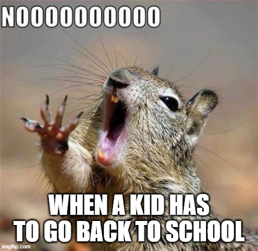 school | WHEN A KID HAS TO GO BACK TO SCHOOL | image tagged in fun | made w/ Imgflip meme maker