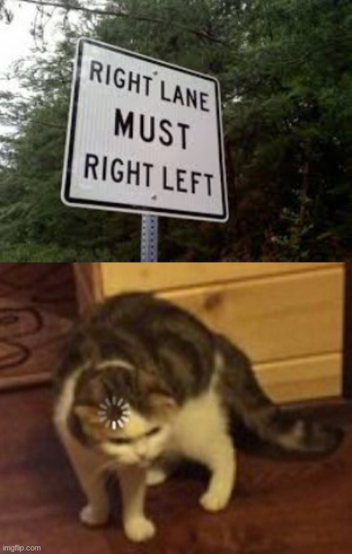 Huh? | image tagged in loading cat | made w/ Imgflip meme maker