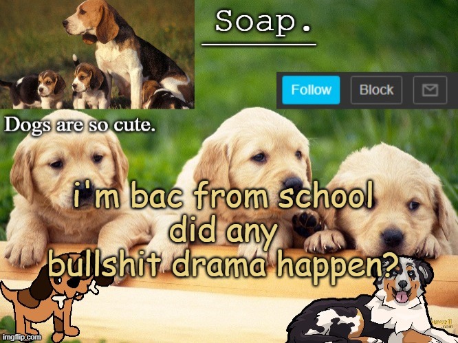 if not, hai! hru? if yes, what the f*ck happened | i'm bac from school
did any bullshit drama happen? | image tagged in soap doggo temp ty yachi | made w/ Imgflip meme maker