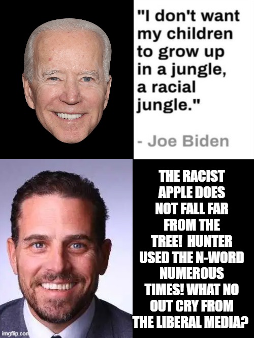 RACISTS!!! | THE RACIST APPLE DOES NOT FALL FAR FROM THE TREE!  HUNTER USED THE N-WORD NUMEROUS TIMES! WHAT NO OUT CRY FROM THE LIBERAL MEDIA? | image tagged in racists,that's racist,morons,idiots | made w/ Imgflip meme maker
