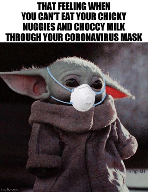 Poor baby Yoda | image tagged in lol | made w/ Imgflip meme maker