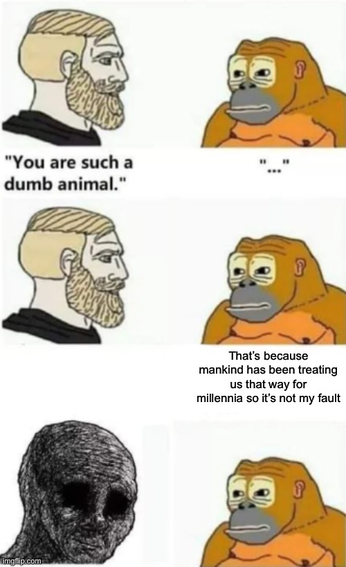 your such a dumb animal | That’s because mankind has been treating us that way for millennia so it’s not my fault | image tagged in your such a dumb animal,memes | made w/ Imgflip meme maker