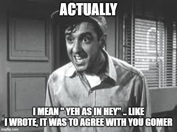 Gomer Pyle | ACTUALLY I MEAN " YEH AS IN HEY" .. LIKE I WROTE, IT WAS TO AGREE WITH YOU GOMER | image tagged in gomer pyle | made w/ Imgflip meme maker